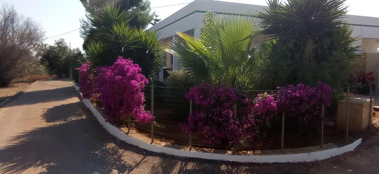 L'Oasi - Bed and Breakfast Capilungo