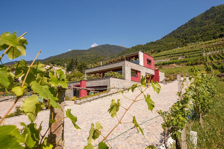Nebbiolo Wine B&B - B&B Castione Andevenno