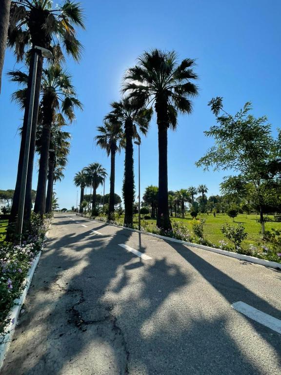 Brand New Apartament Durres - B&B Durazzo