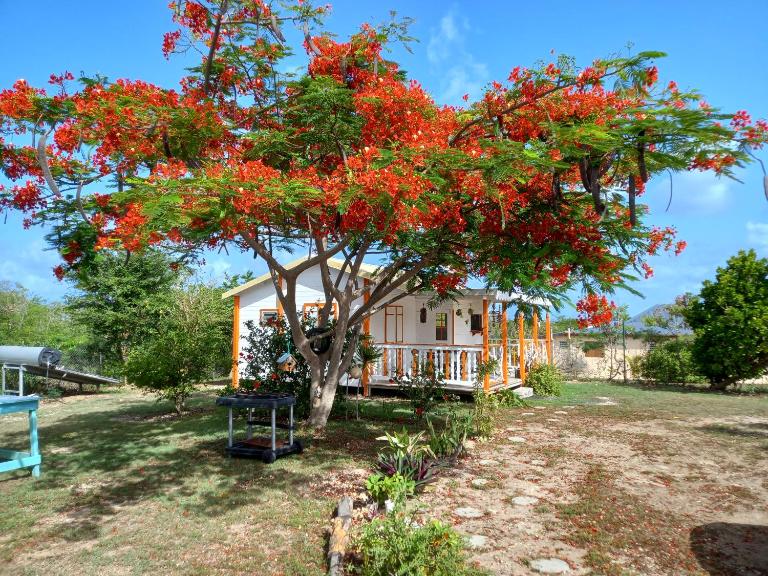 Bungalow au soleil - B&B Saint-François