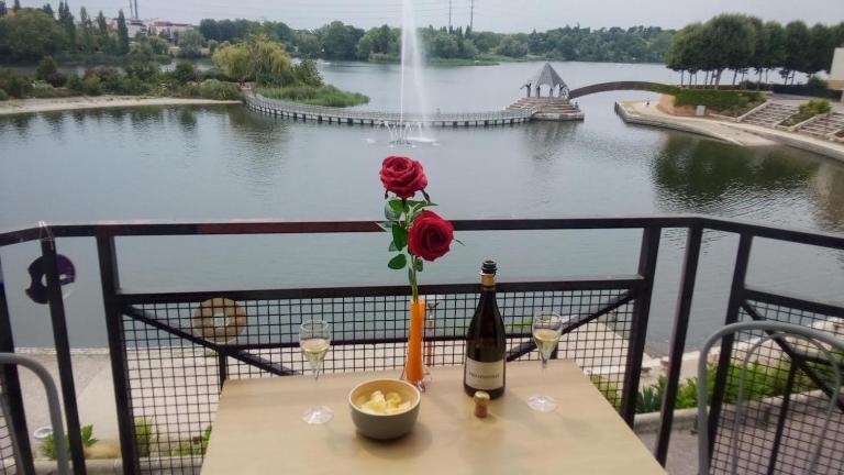 VUE EXCEPTIONNELLE SUR LE LAC - Ferienwohnung Créteil