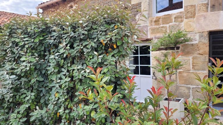 Au creux des vignes - Chambres d'hôtes Les Verchers-sur-Layon