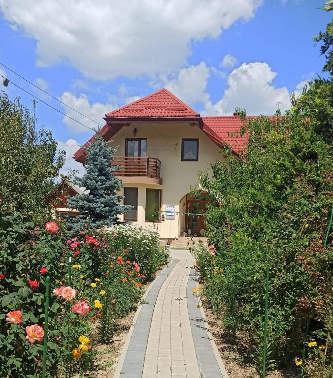 Agropensiunea Florina-Maria - Ferienwohnung Braniştea