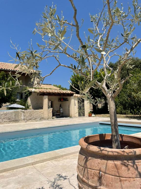 Le mas de Marie - Bed and Breakfast Taulignan