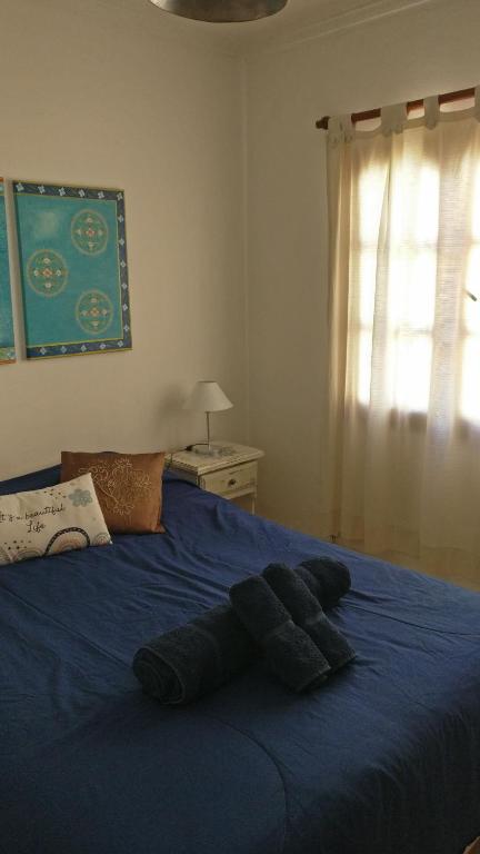 Girasoles Serranos - B&B Tandil