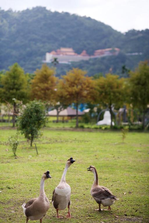 Meihua Lake Leisure Farm - Bed and Breakfast Dongshan