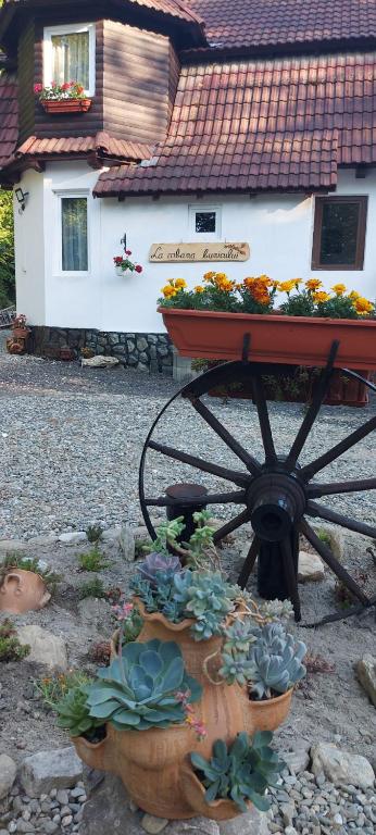 La cabana bunicului - Chambres d'hôtes Sibiu