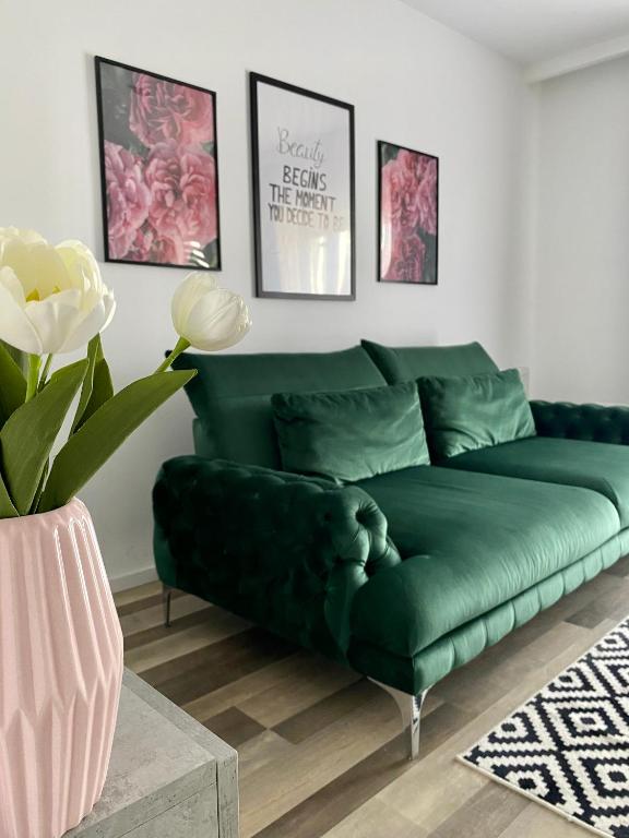 Velvet Studio - Chambres d'hôtes Târgu Mureş