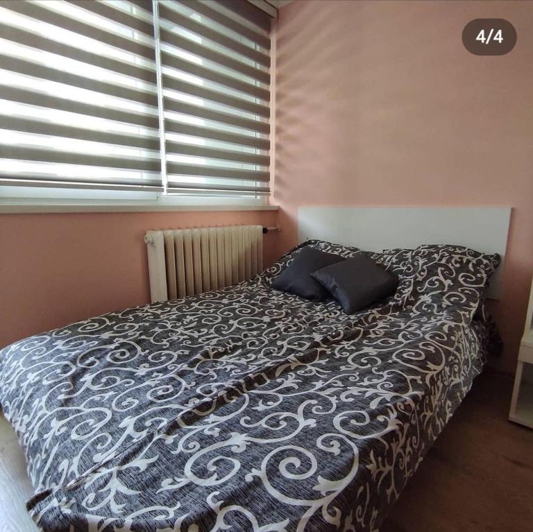 Stan na dan Bor - B&B Bor