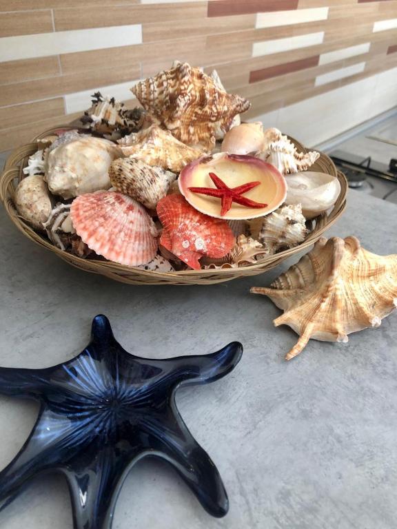 Stella Marina - B&B Castellammare del Golfo