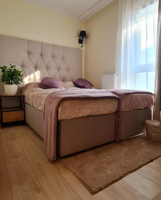 Malta Premium Apartment, free parking, self check-in 24h, air-conditioning - B&B Poznan