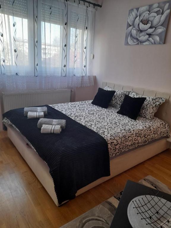 Apartman Aurora - B&B Novi Sad