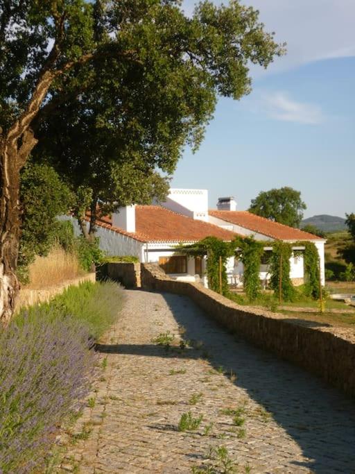 THE OLIVE PRESS - Alentejo - Ferienwohnung Castelo de Vide