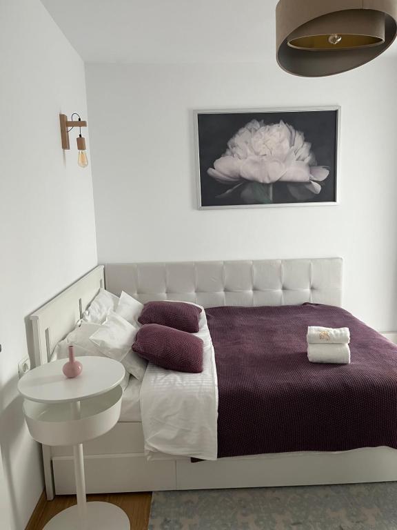 Alma apartments - Chambres d'hôtes Suceava