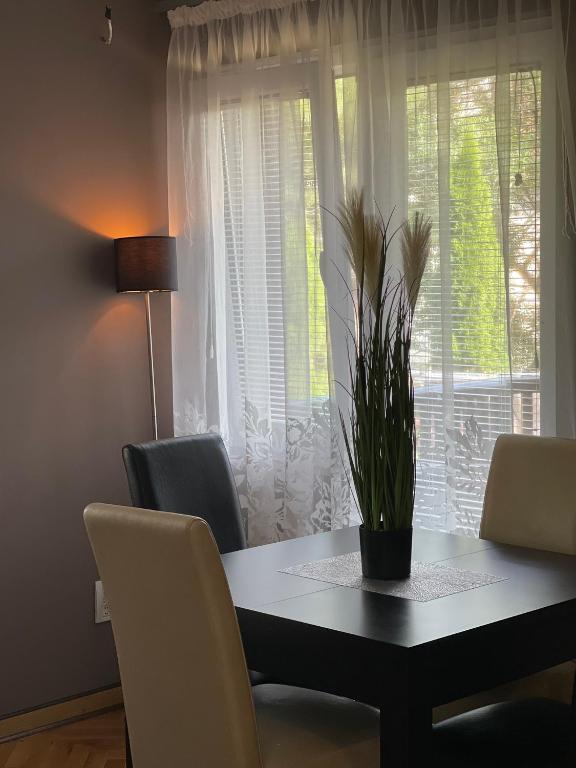 Silver Snowflake - Apartman sa dvoristem - Bed and Breakfast Zlatibor