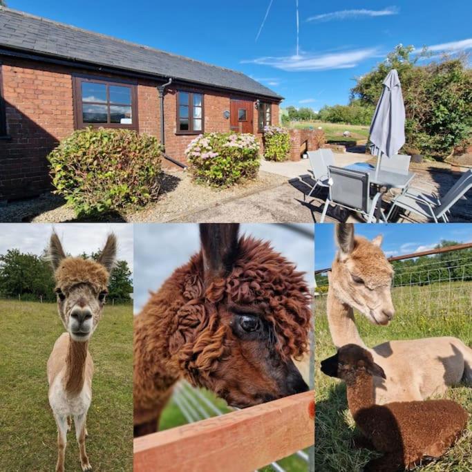 Swallows Nest Guest House - With Hot Tub - Ferienwohnung Abergavenny