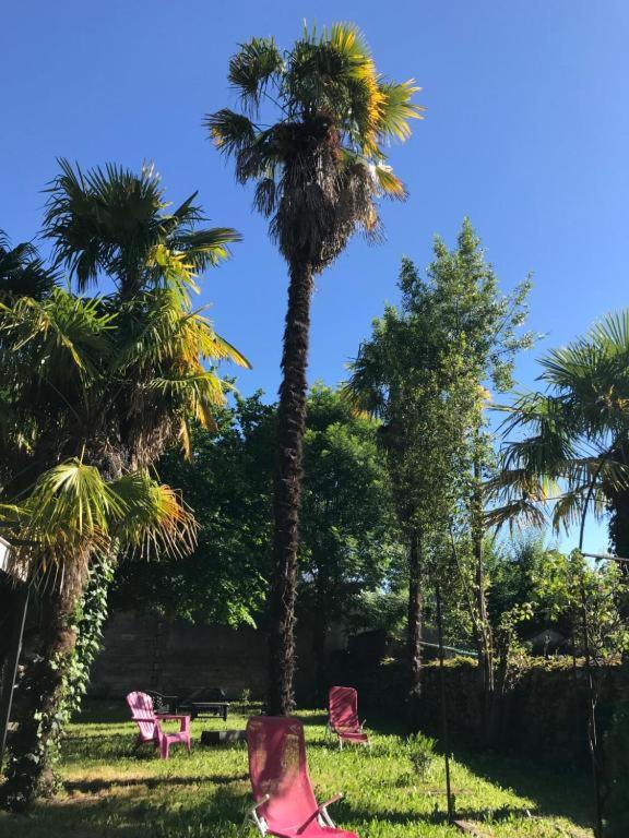 LE LOGIS LE PIC DU MIDI et LE LOGIS LE COL D'ASPIN - B&B Lourdes