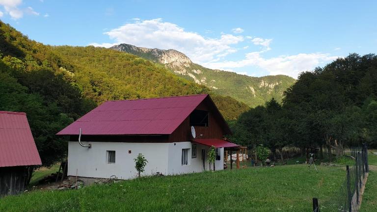 Cabana lui Foardă - Ferienwohnung Motru Sec