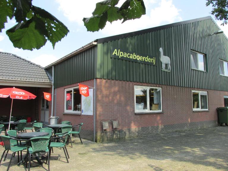 De Alpacaboerderij - B&B Bocholt