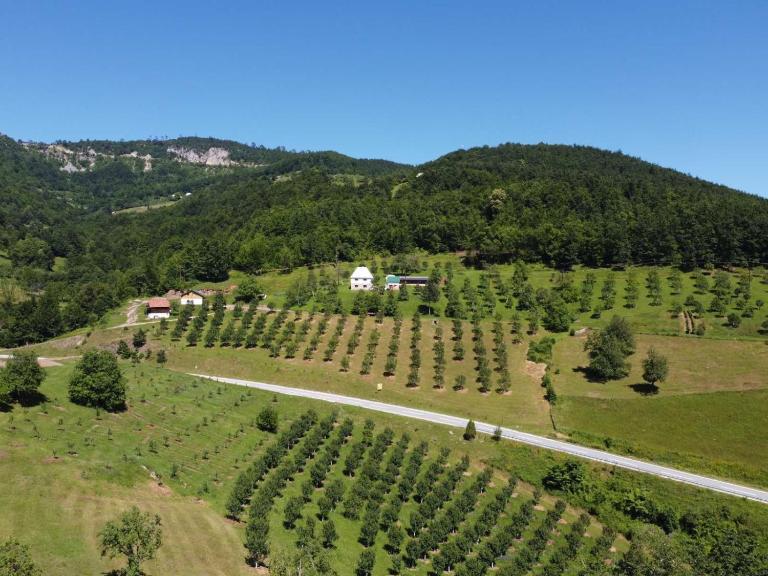 Kljajevica Orchard - B&B Pljevlja
