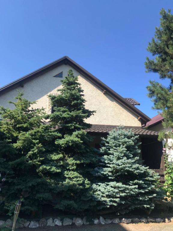 Green Villa Accommodation - B&B Costineşti