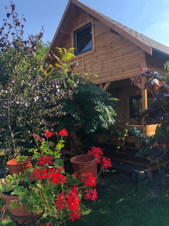 Domek pod Sumakiem - B&B Pszczółki