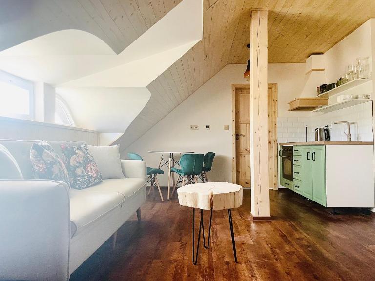 Roubenka Meandra - studio 32m2 - B&B Borová Lada