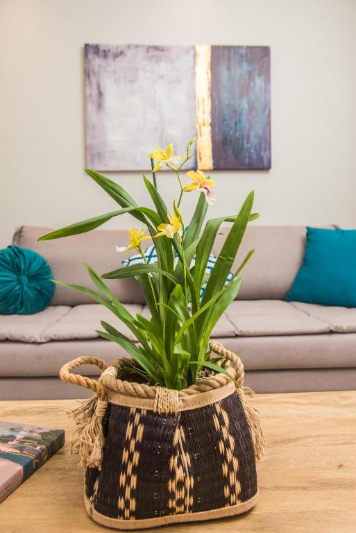 Miltonia Apartment - B&B Kastanéa