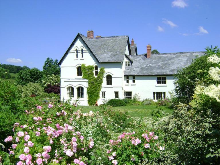 The Forest Country House B&B - B&B Newtown