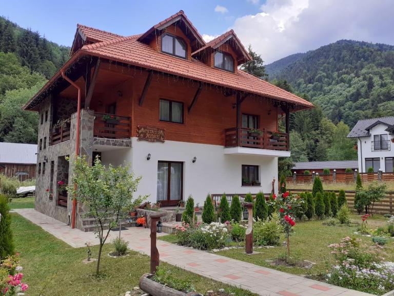 Pensiunea Pietrosul Rodnei - B&B Moisei