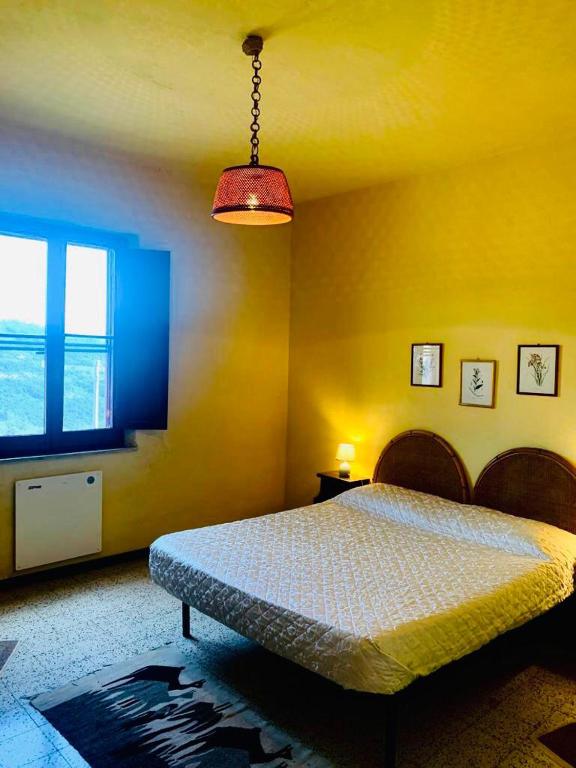Azienda Agricola Colle Paradiso - Bed and Breakfast Mompeo