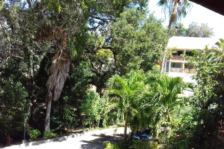 Studio Le Balisier - B&B Caritan