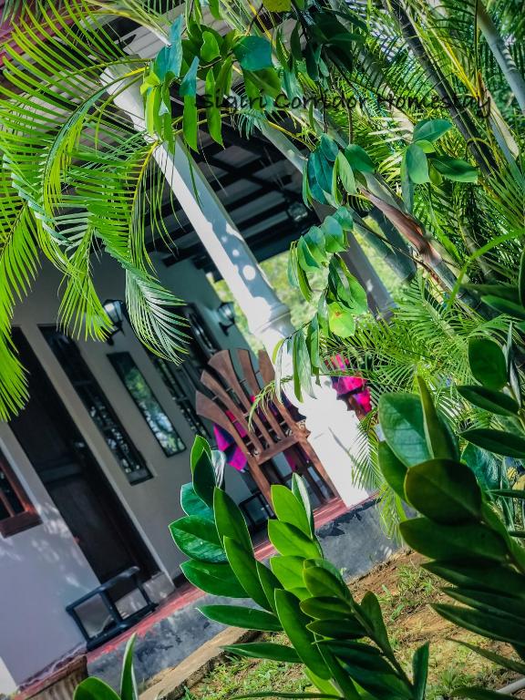 Sigiri Corridor Home Stay - Bed and Breakfast Sigiriya