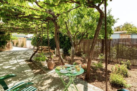 Spacious farmhouse with big yard and fireplace - Bed and Breakfast Evangelístria