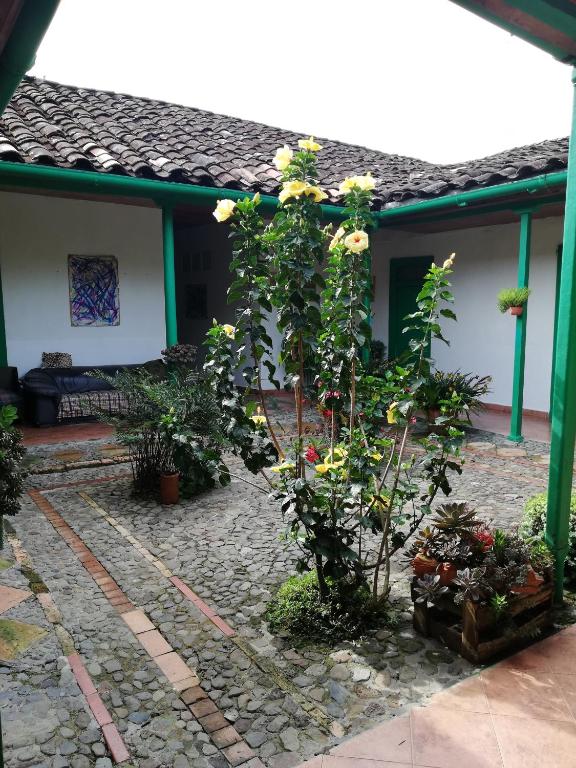 LUzArt - Bed and Breakfast Jardín