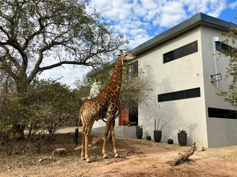 Birdsong Kruger - B&B Marloth Park
