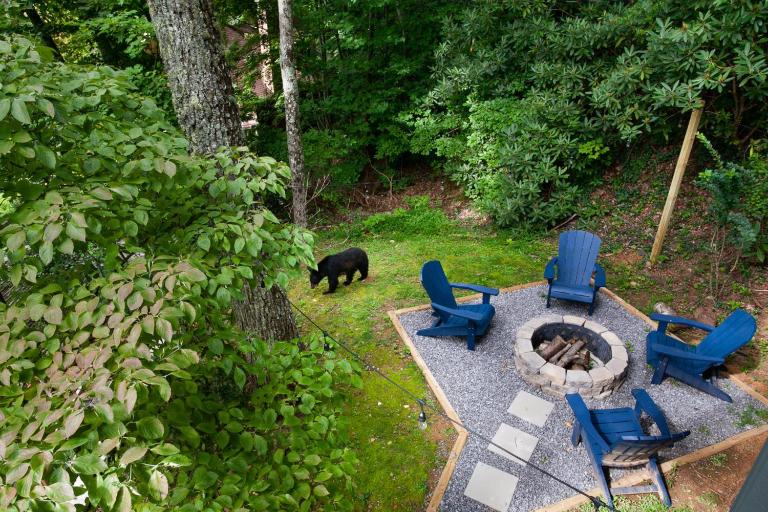 Serenity View- FirePit, Game Room, Community Pools - Chambres d'hôtes Gatlinburg