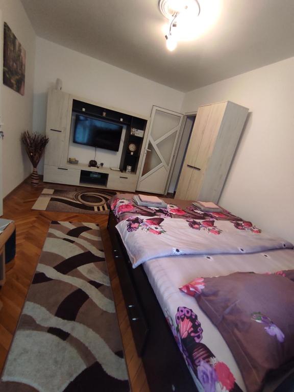 Mim's Home - Ferienwohnung Băile Herculane