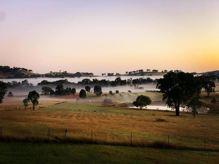 Grattai Grove Mudgee - Chambres d'hôtes Grattai