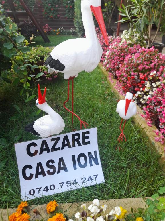 Casa Ion - B&B Horezu