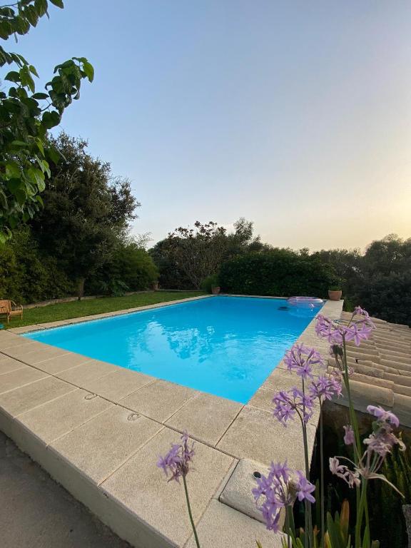 Ses Alzines Apartamento integrado en Casa Rural Habitada - B&B Llucmajor