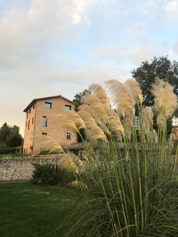 CAL FUSTER - B&B Sant Pau de Segúries