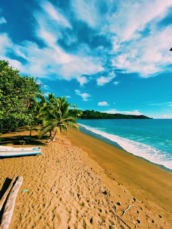 Kinkajoungalows - Amaya Family, Drake Bay, Osa Peninsula - B&B San Pedrillo