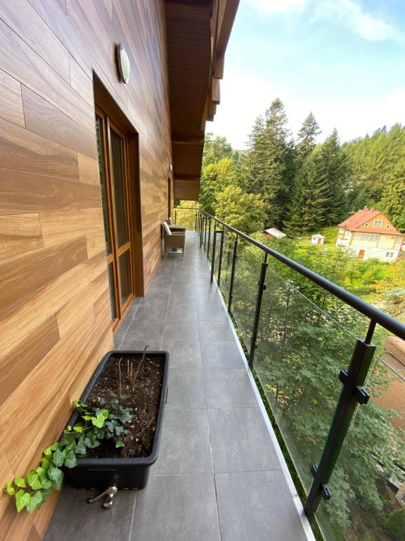 Apartament Chleb i Wino - Bed and Breakfast Krynica-Zdrój