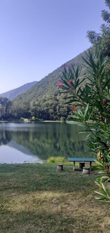 L’Angolino di MAGDA: on the lake-PRIVATE beach! - B&B Ghirla