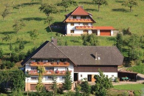 Kempfenhof - Bed and Breakfast Oberharmersbach