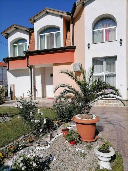 Lucky 2 - B&B Pavel Banya