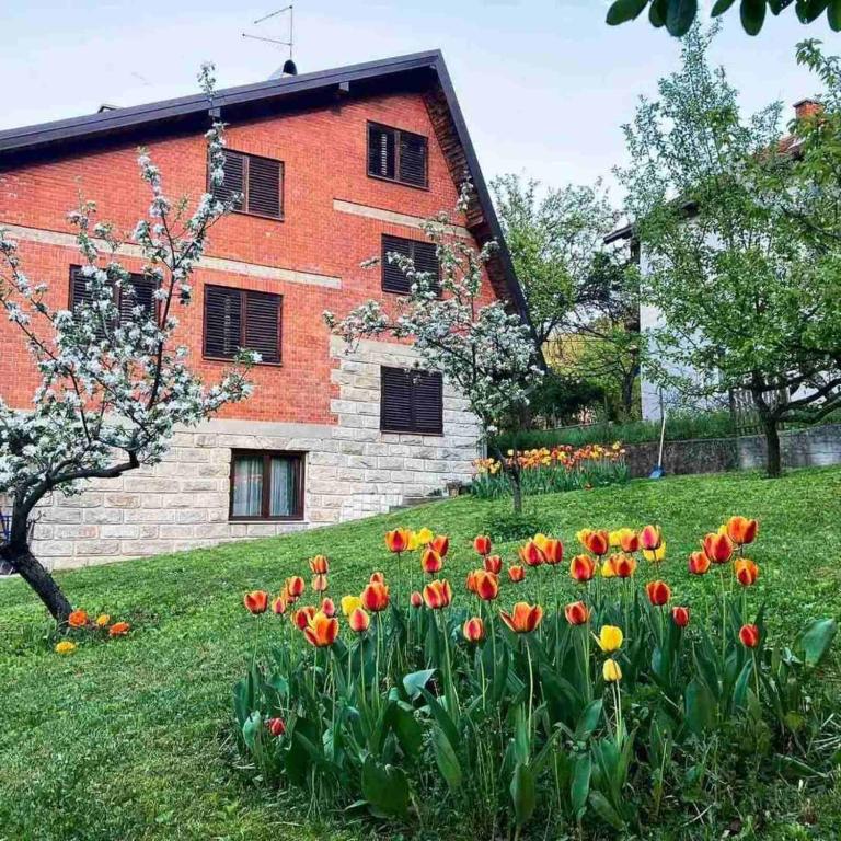Kosmajski raj - Chambres d'hôtes Nemenikuće