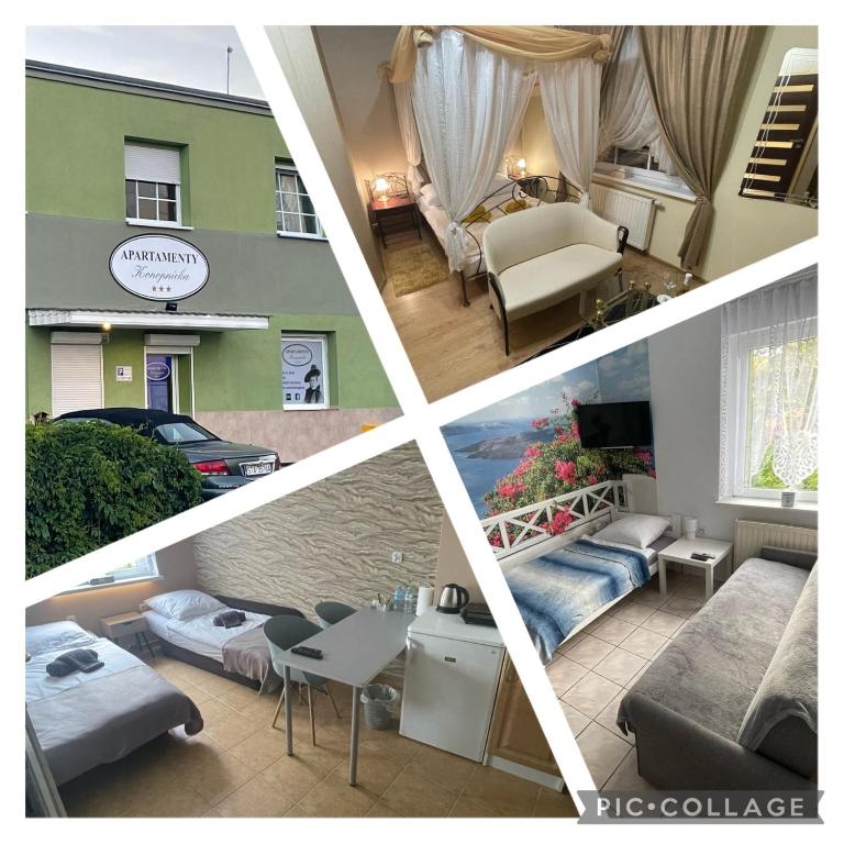 Apartamenty Konopnicka - Chambres d'hôtes Bydgoszcz