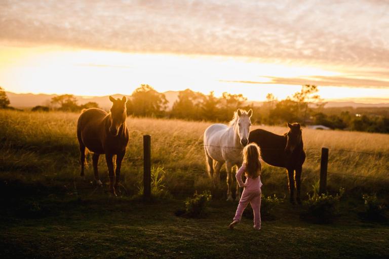 Fernhill Guest Farm - B&B Knysna